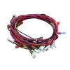WIRS-1000 Simens Econo Controls Wiring Harness