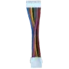 9800592