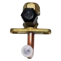 15500208000031