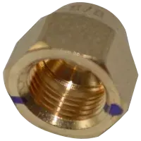 15500406000012