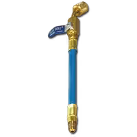 25202