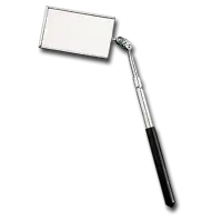 9068