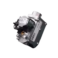 GS-V-1
