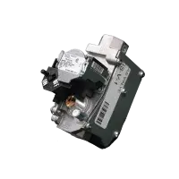 GS-V-1