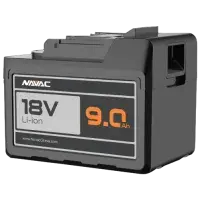 NBP2