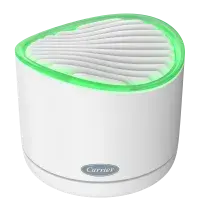 RMAM-ST