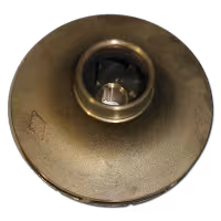 p58698