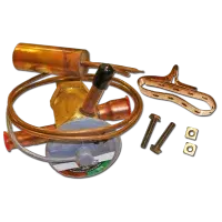 RCVE-3