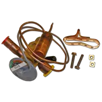 RCVE-4