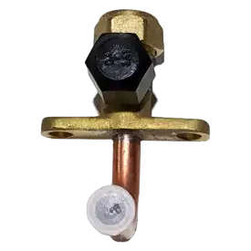 15500208000031