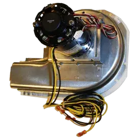 50DK406816