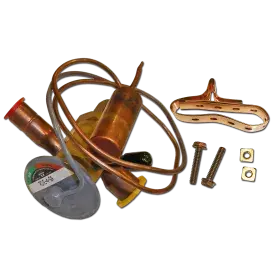 RCVE-4