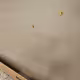 D59TP7A080-1126A47100 Distressed Inventory