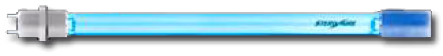 21000300