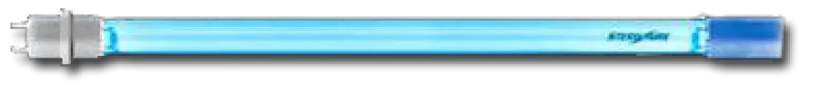 21000400