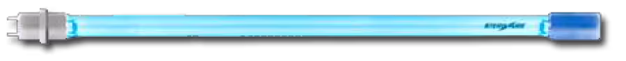 21000500