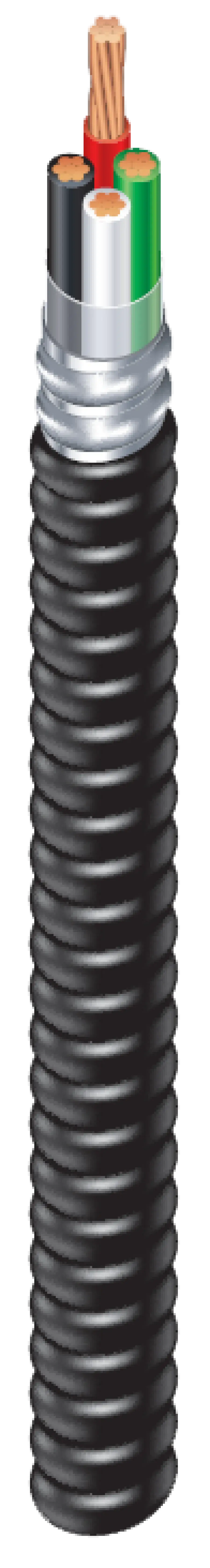 59351204