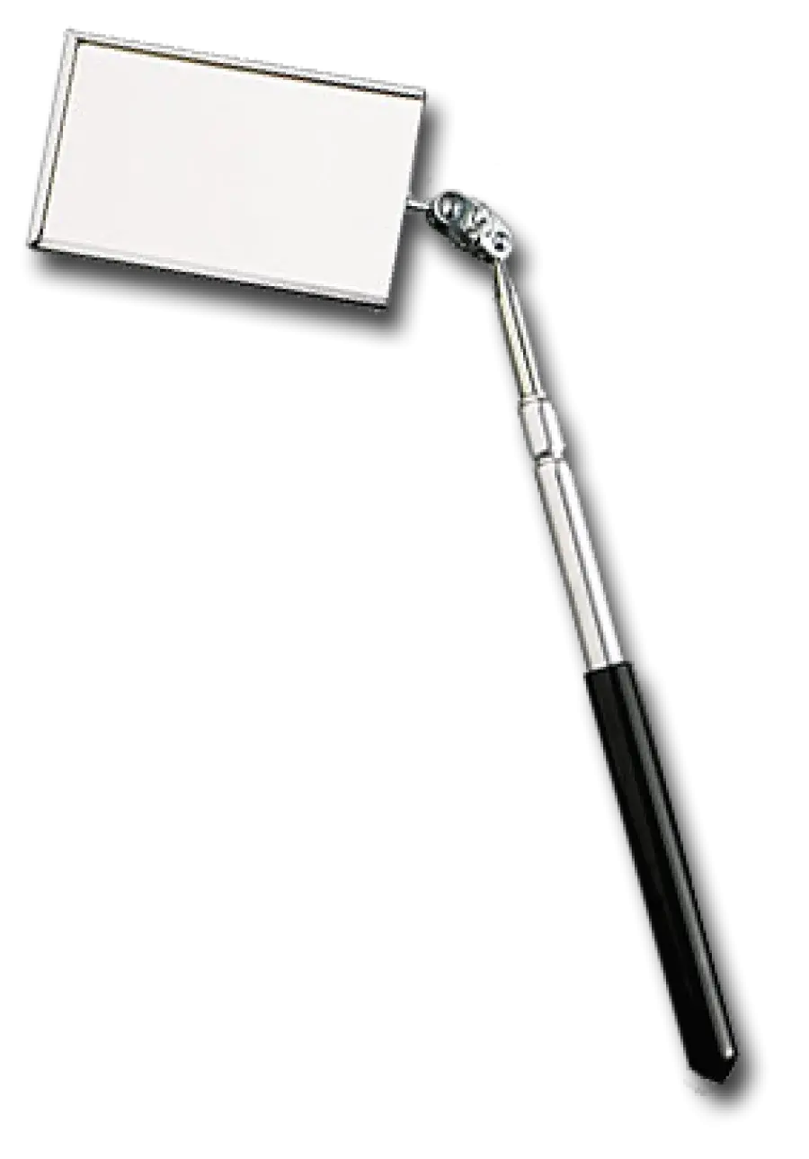9068