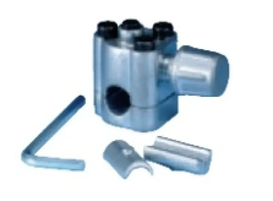 BPV31