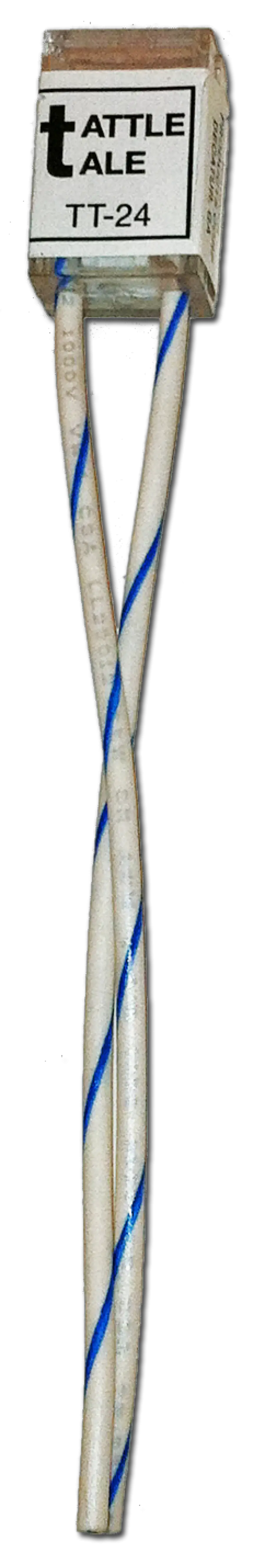 TT24